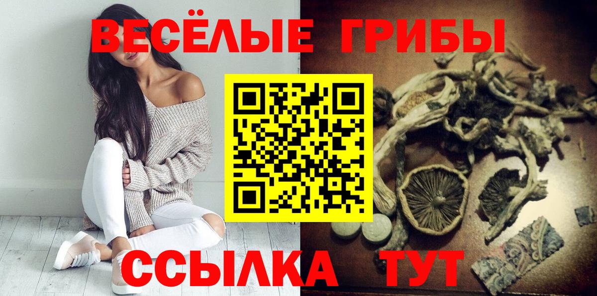 Галлюциногенные грибы Magic Shrooms Сухой Лог