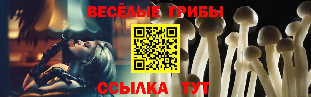 Галлюциногенные грибы Psilocybe  Вход с VPN  Сухой Лог 